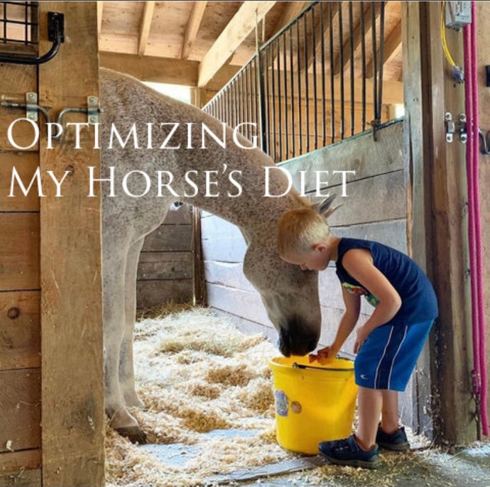Optimizing My Horse’s Diet