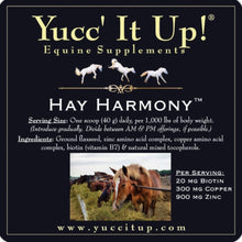 Load image into Gallery viewer, Hay Harmony™ (Cu, Zn & B7)