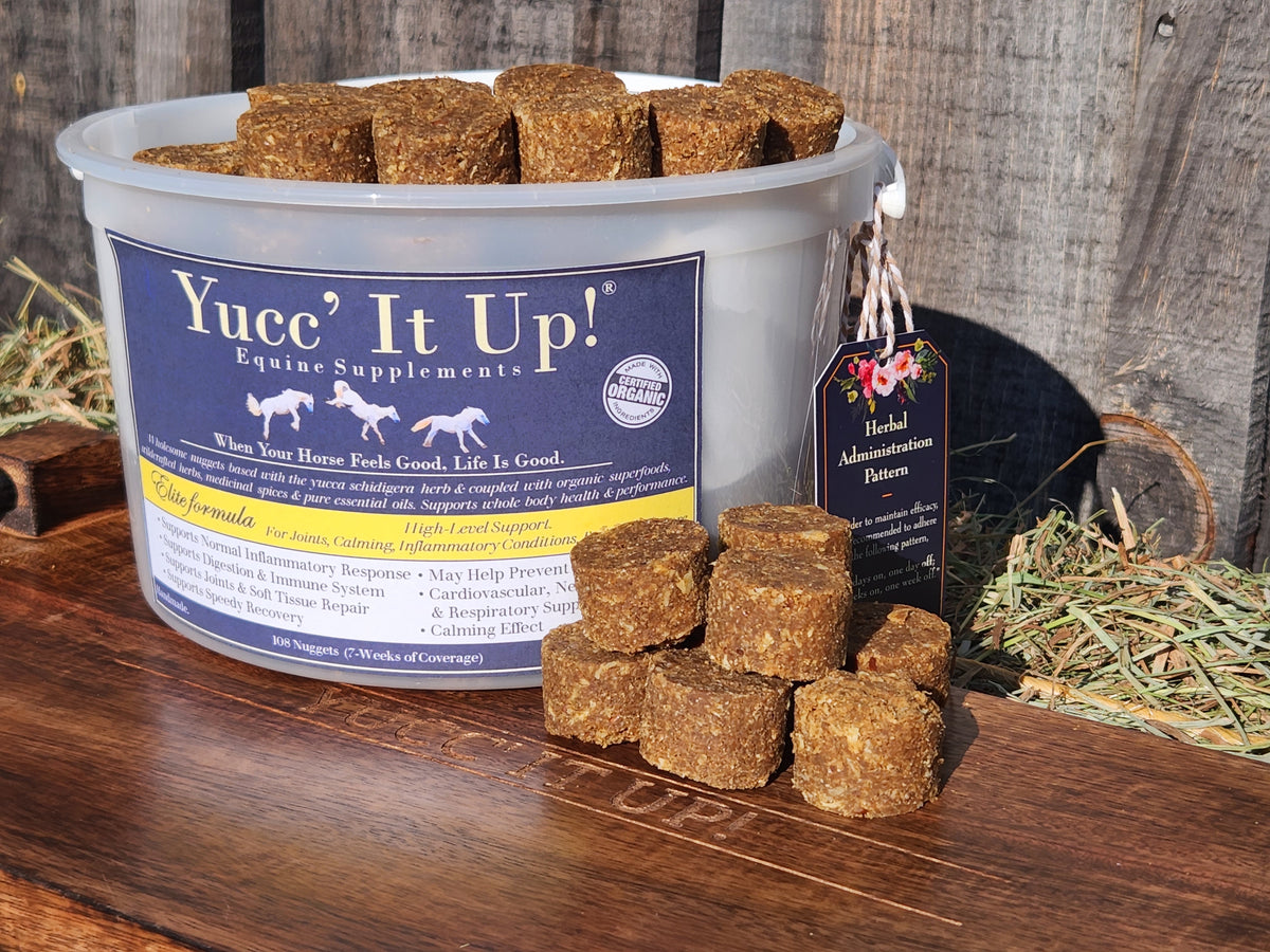 Yucc' It Up!® Elite formula – Yucc' It Up! Equine Supplements