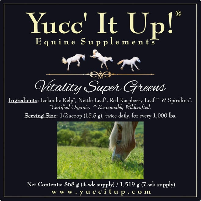 ★☆★ yucc★☆★ Yucc' It Up!® Original formula – Yucc' It Up! Equine Supplements