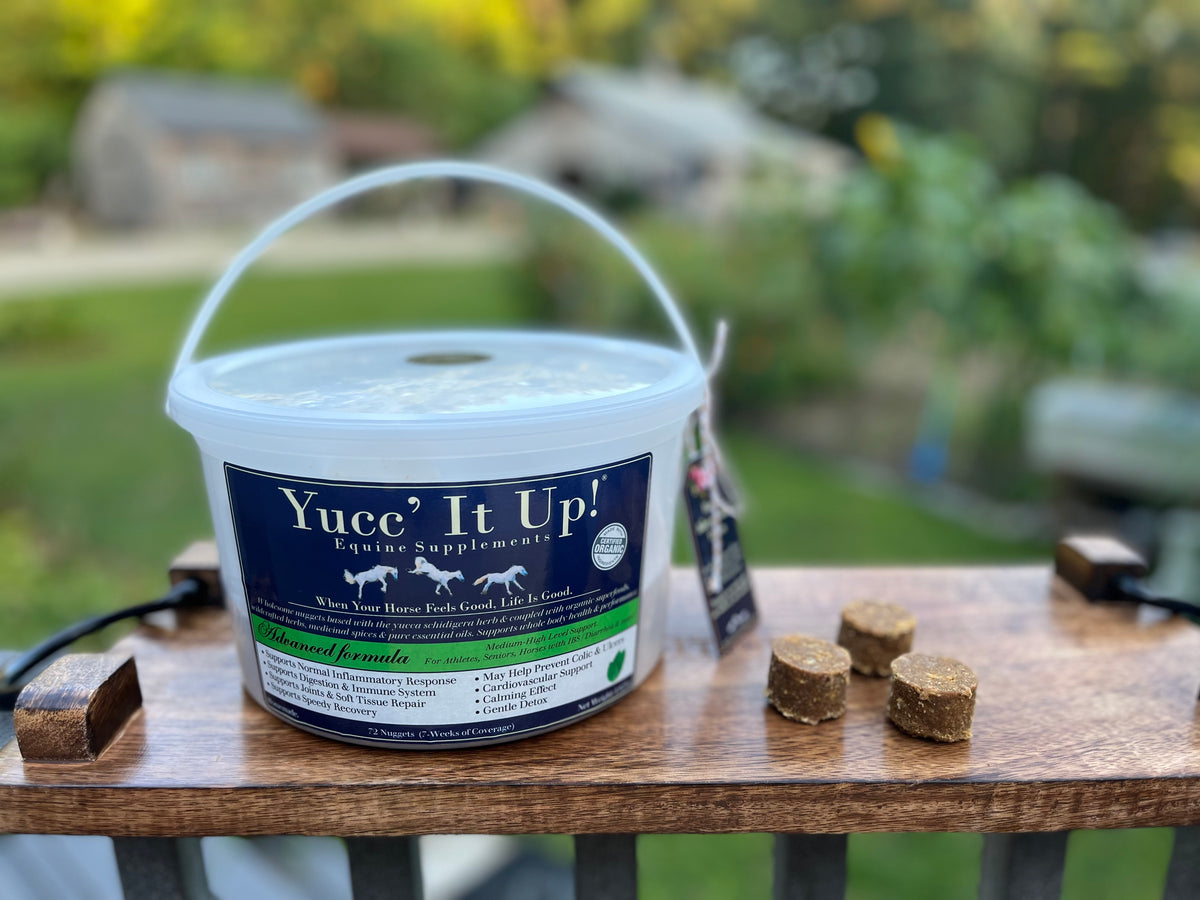 Juice Plus+ (Whole Food Nutrition) – Yucc' It Up! Equine Supplements