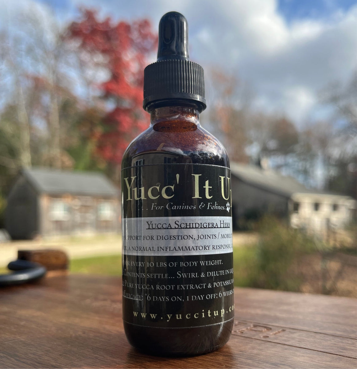 image_677cff63-4d83-423c-a304-