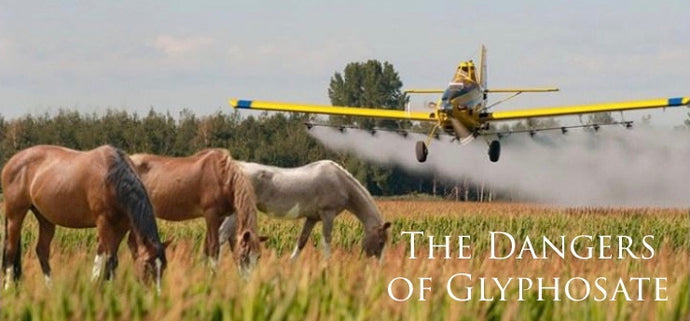 Glyphosate (RoundUp) and Horses; What You Need To Know