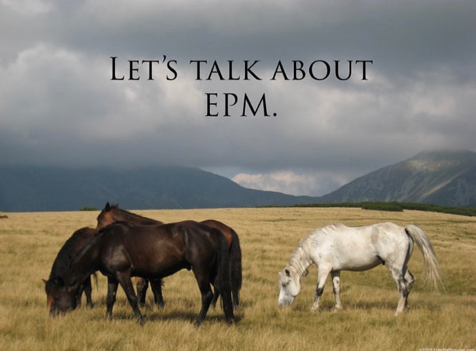 Let's Talk About EPM