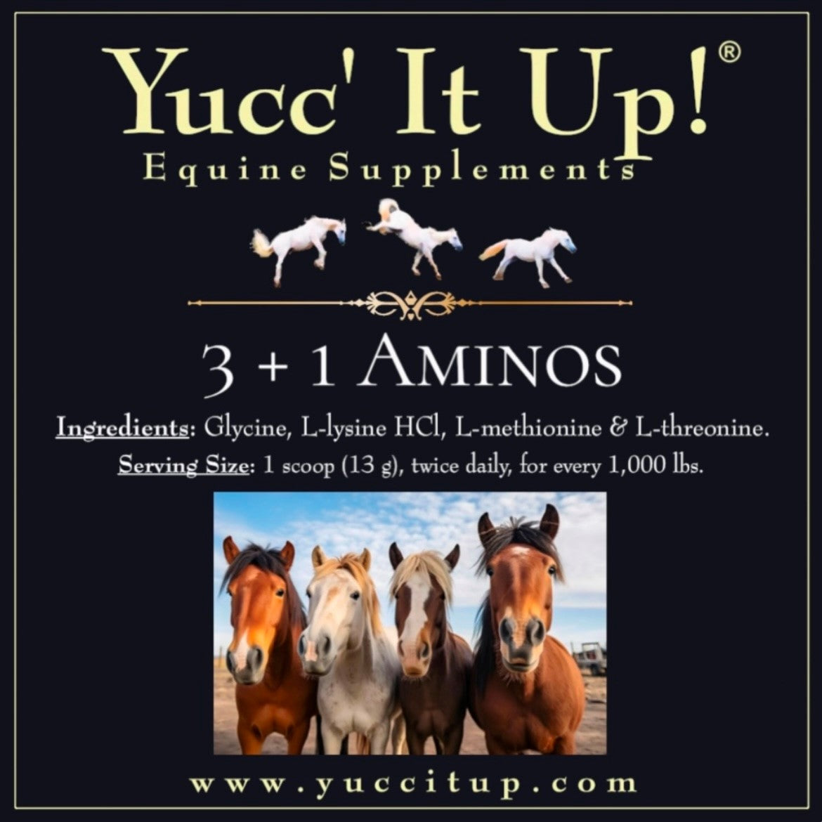 Products – Yucc' It Up! Equine Supplements