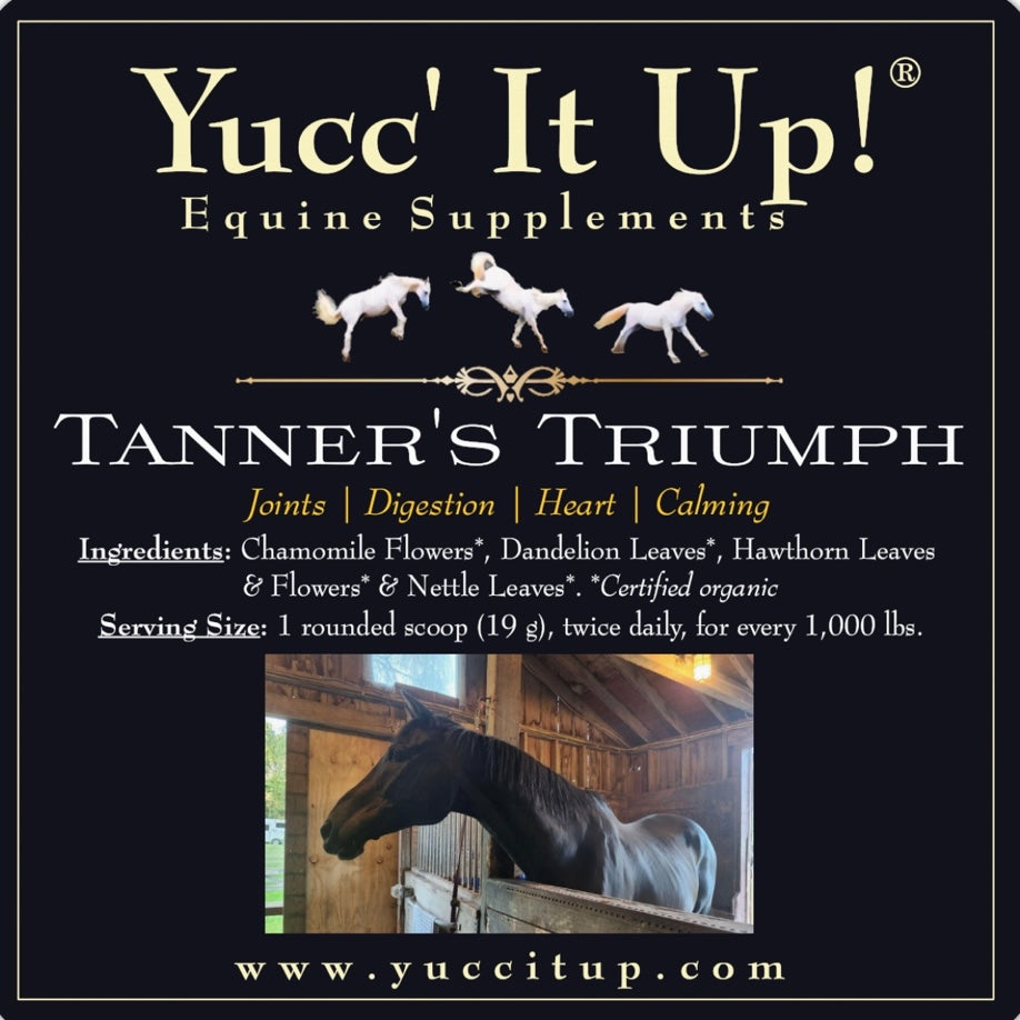 Tanner's Triumph (Joints | Digestion | Heart | Calming)
