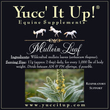 Load image into Gallery viewer, Mullein Leaf - Respiratory Support