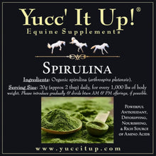 Load image into Gallery viewer, Spirulina