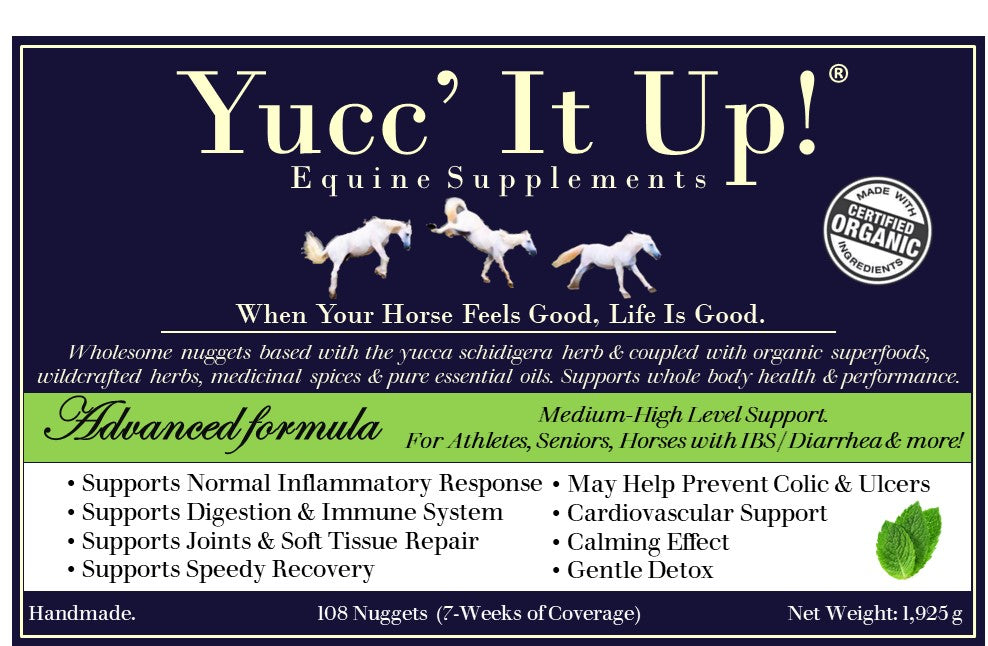 Yucc' It Up!® Advanced formula – Yucc' It Up! Equine Supplements
