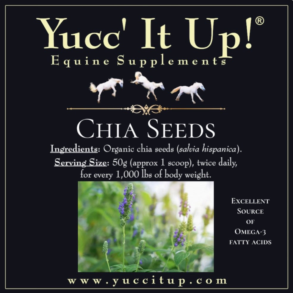 chia seeds plant benefits Chia Seeds – Yucc' It Up! Equine Supplements