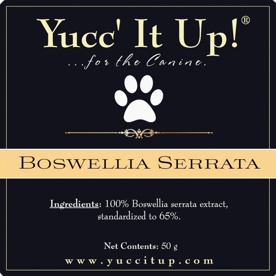 Boswellia Serrata …for the Canine.