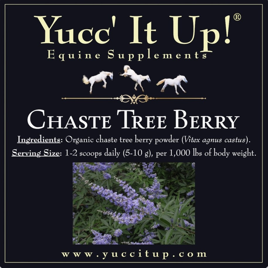 Chaste Tree Berry – Yucc' It Up! Equine Supplements