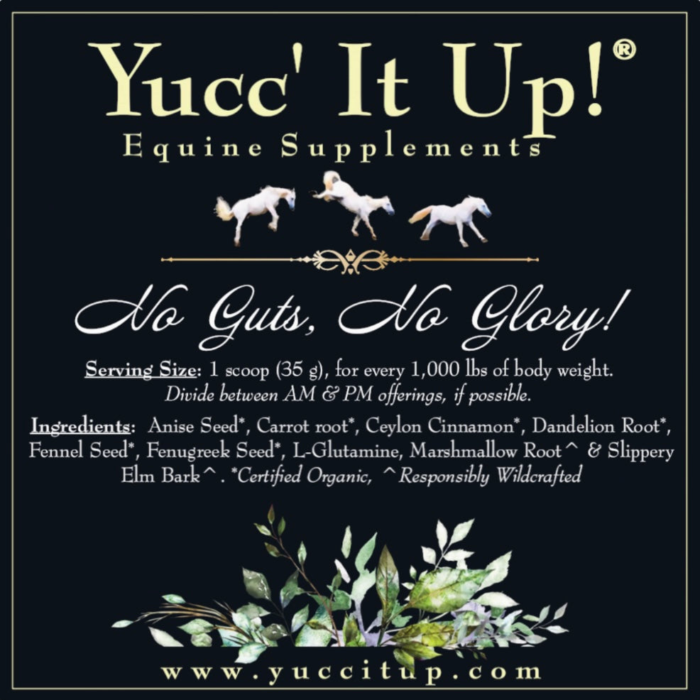 No Guts, No Glory! – Yucc' It Up! Equine Supplements