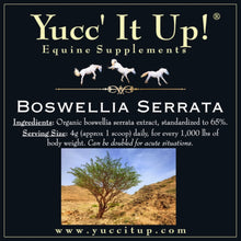 Load image into Gallery viewer, Boswellia Serrata