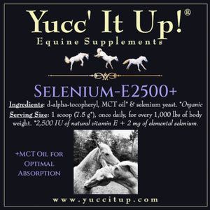 Selenium-E2500 (Antioxidant Duo)