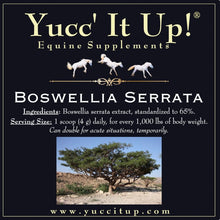 Boswellia Serrata