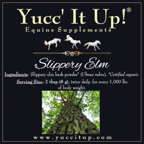 Slippery Elm