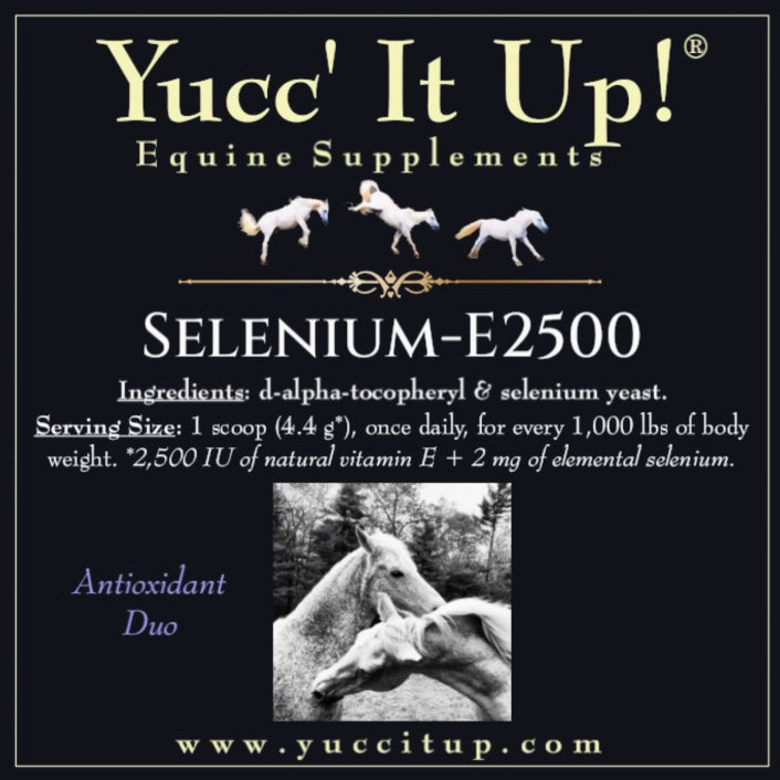 Selenium-E2500 (Antioxidant Duo)