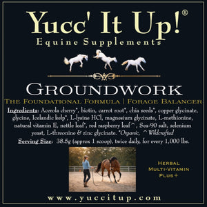 ★☆★ yucc★☆★ Groundwork: The Foundational Formula | Herbal Multi-Vitamin Plus+