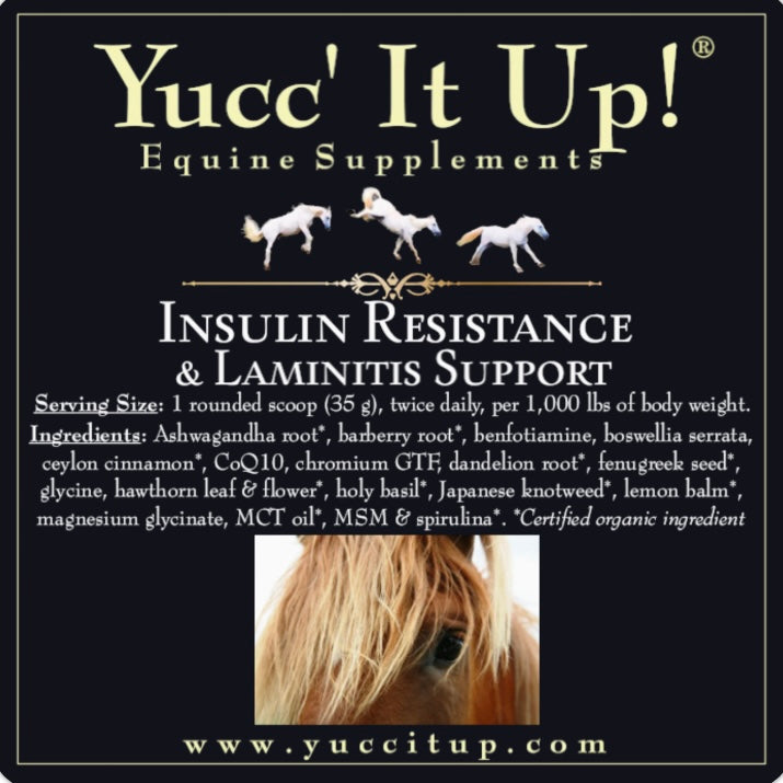Insulin Resistance & Laminitis Support Blend