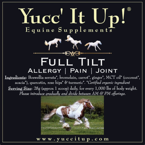 Full Tilt: Allergy | Pain | Joint