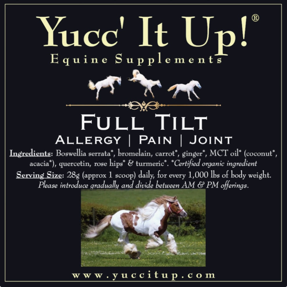 Full Tilt: Allergy | Pain | Joint