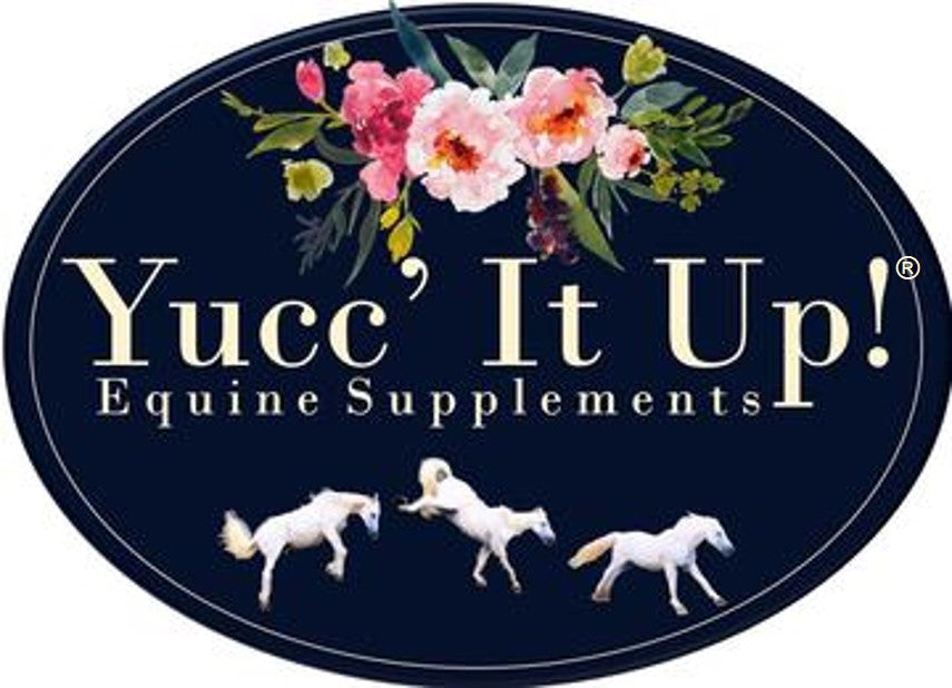 Yucc' It Up!® Equine Supplements – Yucc' It Up! Equine Supplements