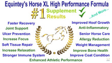 Load image into Gallery viewer, Equinety Horse XL - 100% Pure Amino Acids