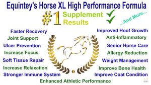 Equinety Horse XL - 100% Pure Amino Acids
