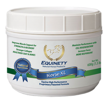 Load image into Gallery viewer, Equinety Horse XL - 100% Pure Amino Acids