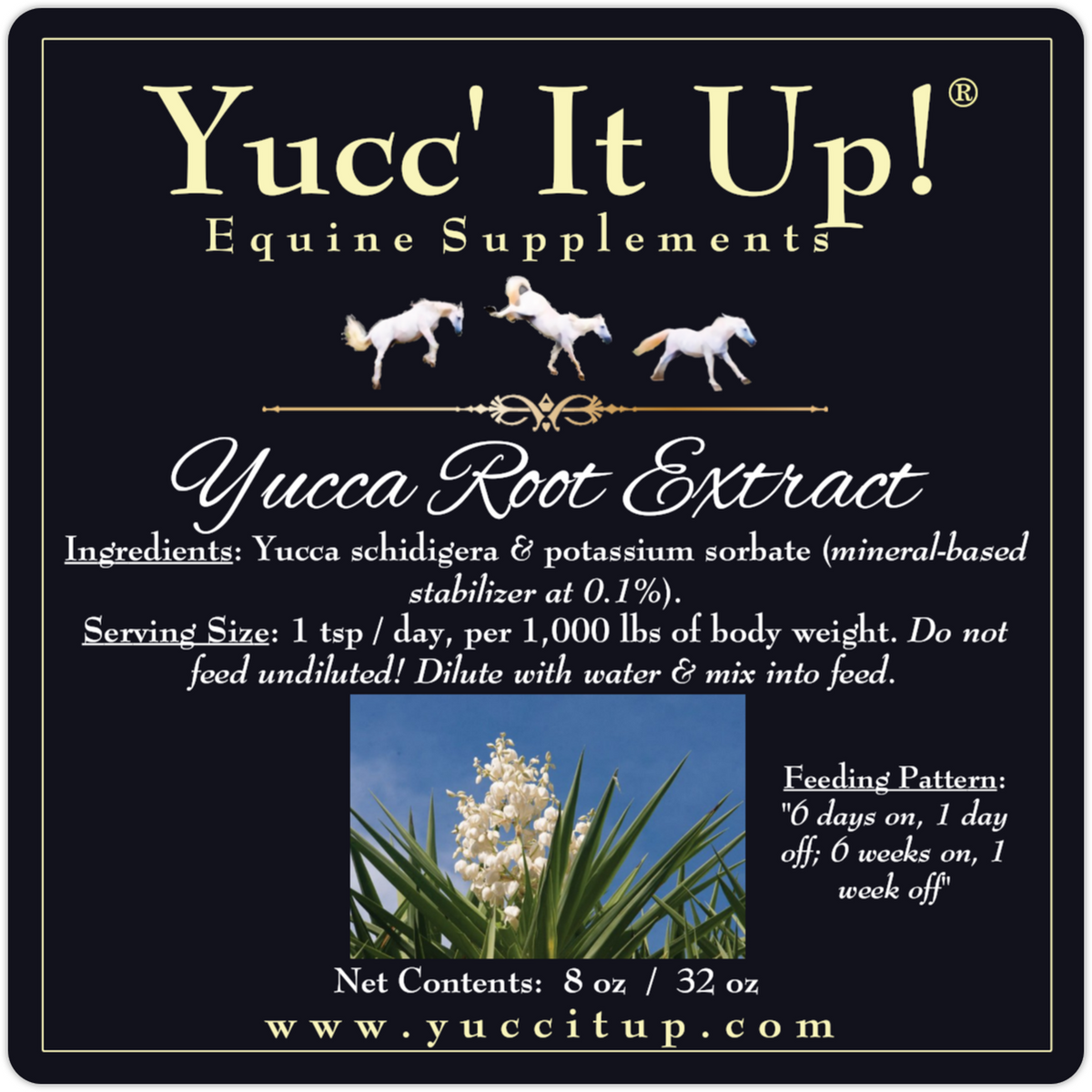 Yucca Root Medicinal Uses