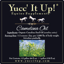 Camelina Oil