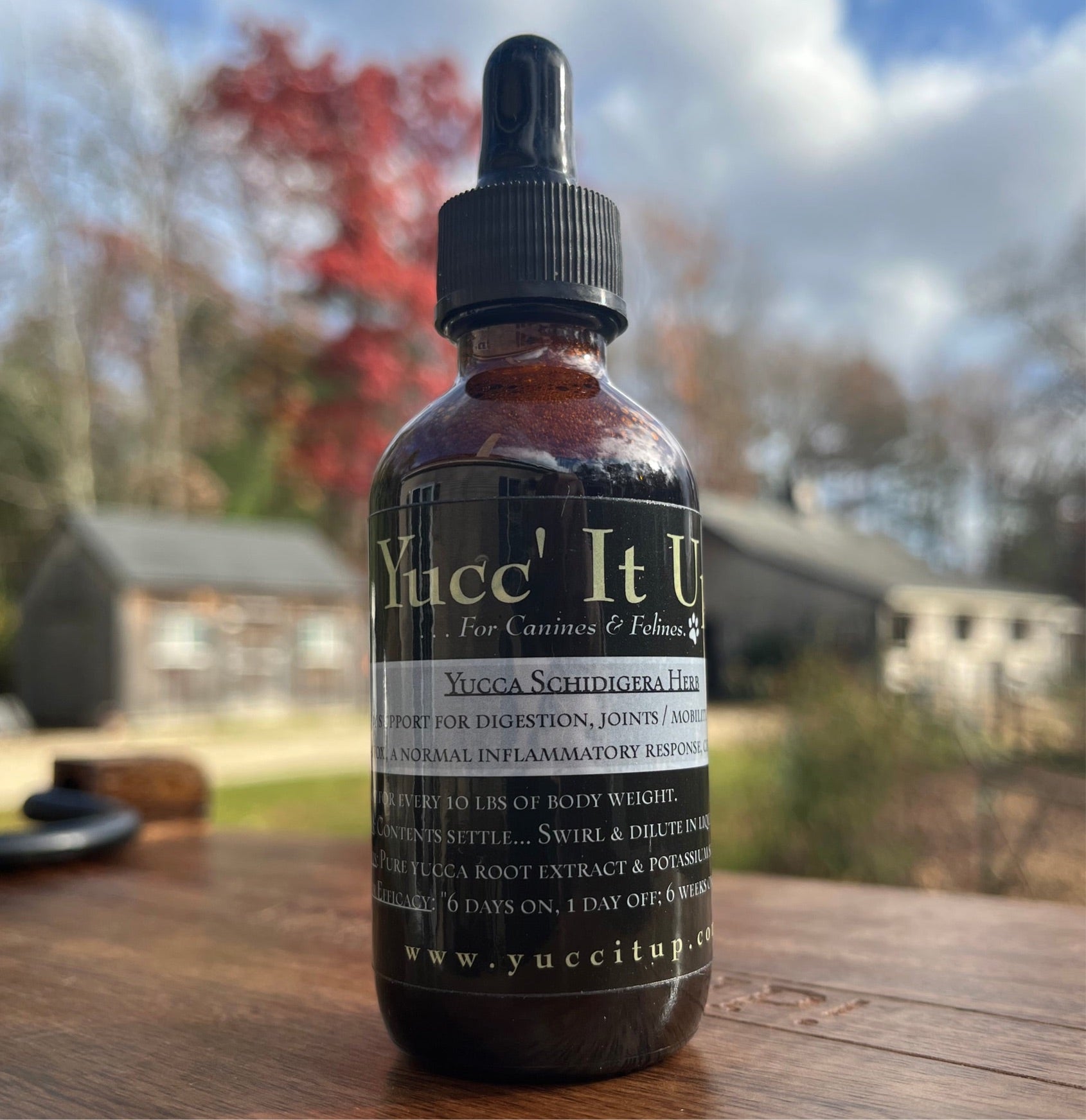 Yucca Schidigera, 2 oz (Joint support, gentle detox, pain mgmt