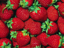 Load image into Gallery viewer, Strawberry Powder