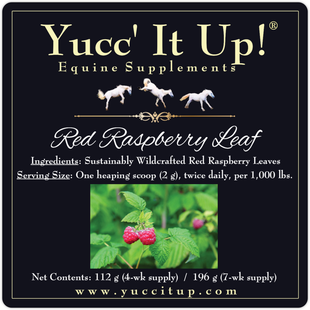 Red Raspberry Leaf – Yucc' It Up! Equine Supplements